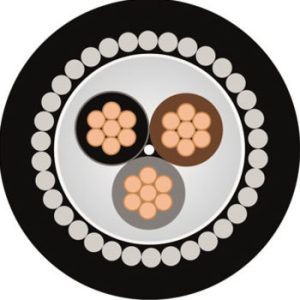 SWA LSZH Power Cable 0.6/1kv BS6724 Armoured Cable